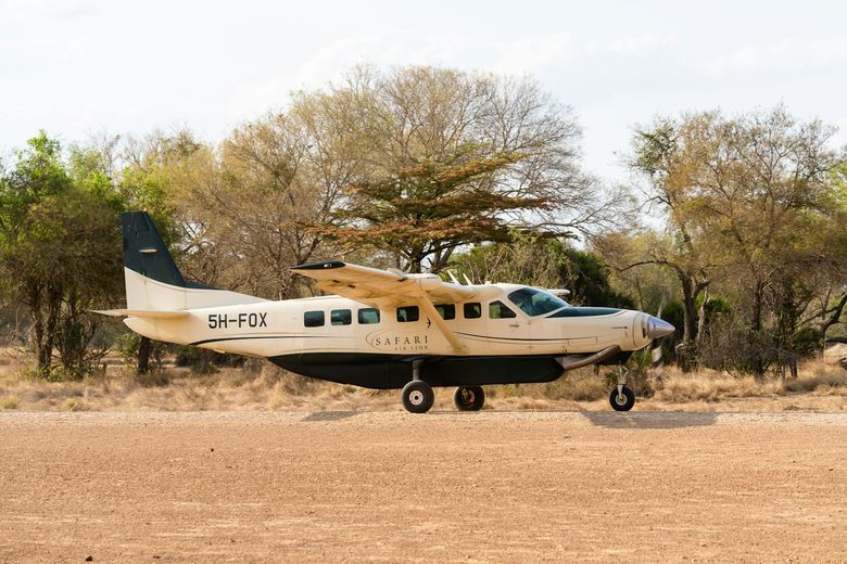 A cream-and-green bush plane parked on a red dirt airstrip, framed by trees